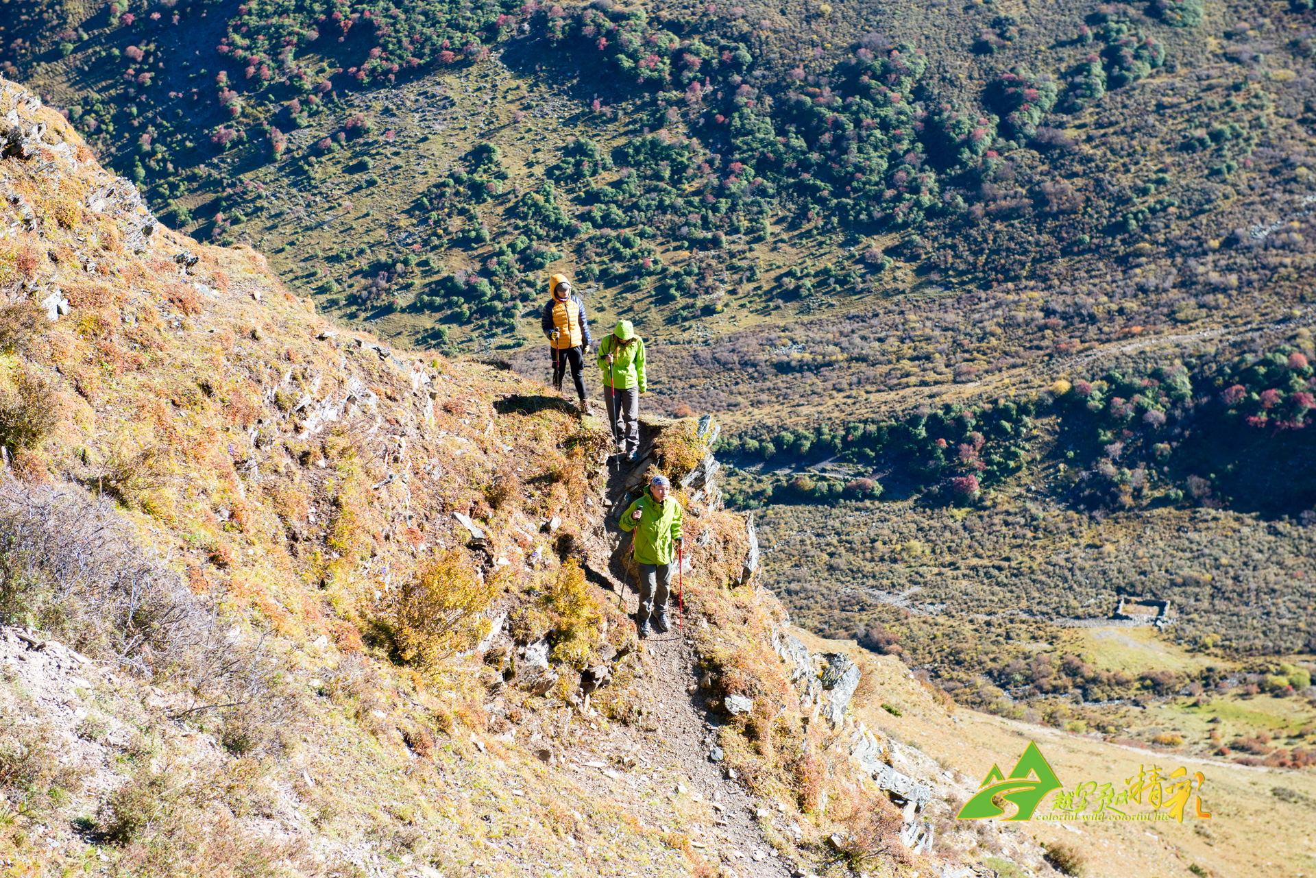 再次巩固了 再次巩固了