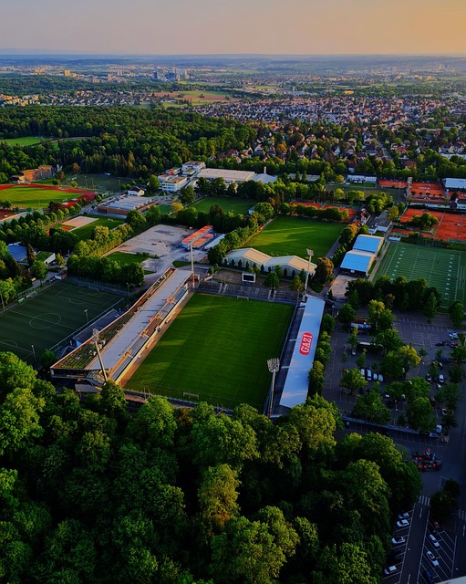 他们展现的 他们展现的