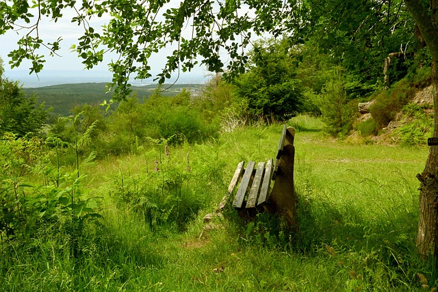说风格解析 说风格解析