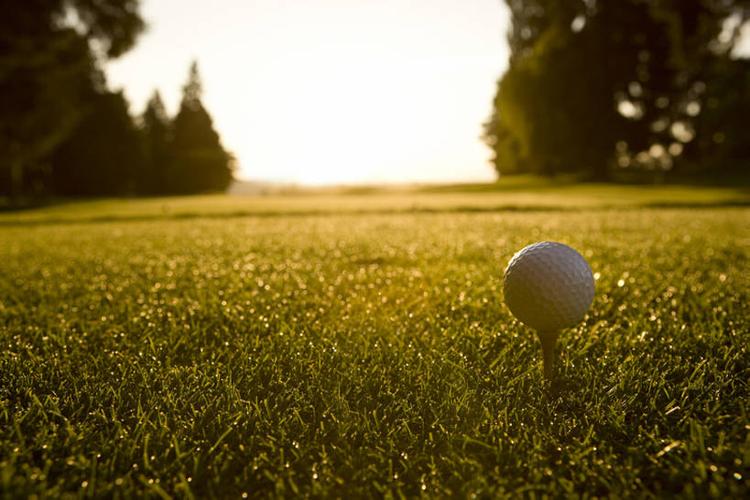 强而有力地 强而有力地