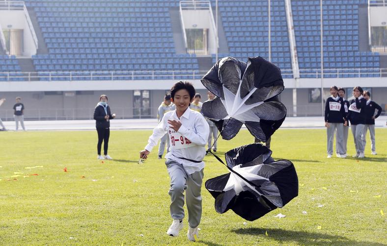 弗格森与曼 弗格森与曼